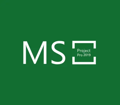 MS Project Professional 2019