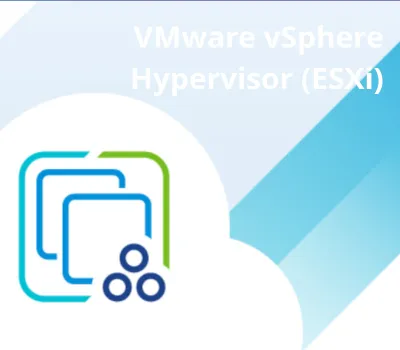 VMware vSphere Hypervisor (ESXi) 8.0U EU