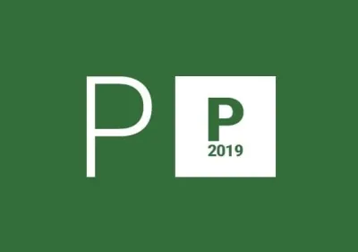Project Professional 2019