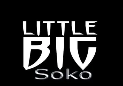 LittleBigSoko